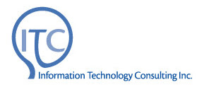 Information Technology Consulting